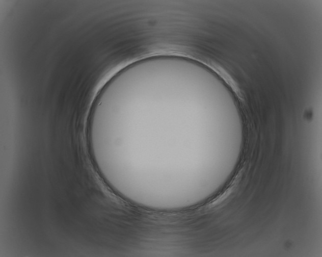 X0000094970885200711291135