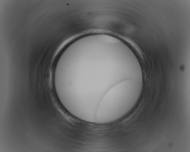 X0000094970886200711291135
