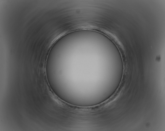 X0000094970889200711291135