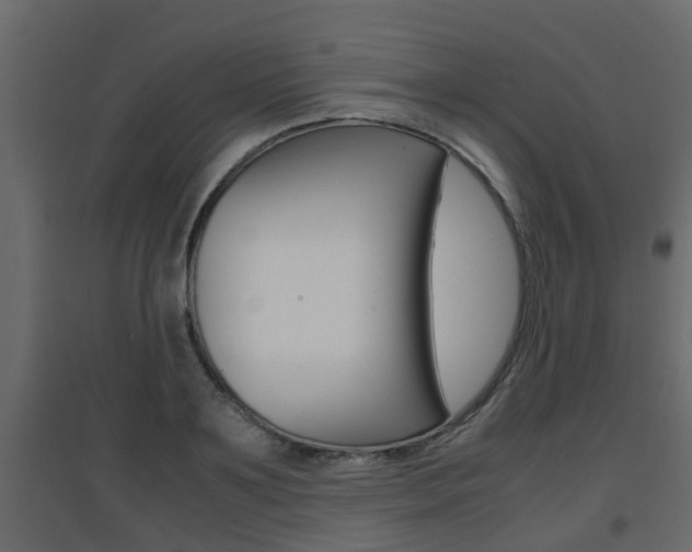 X0000094970891200711291135
