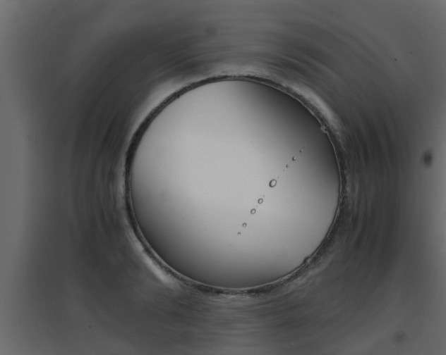 X0000094970894200711291135