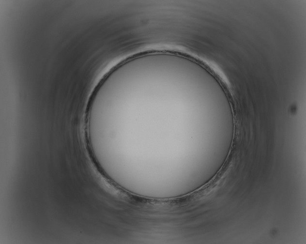 X0000094970895200711291135
