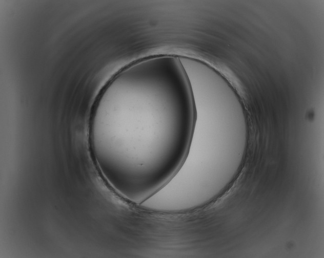 X0000094970896200711291135