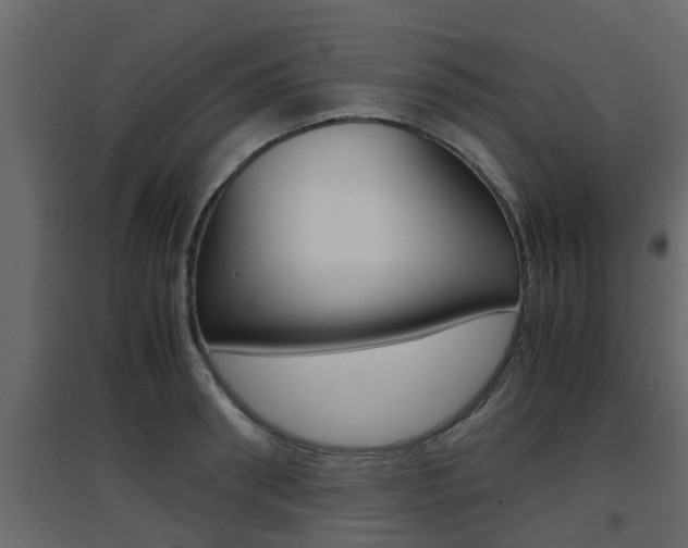 X0000094970898200711291135