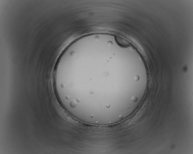 X0000094970899200711291135