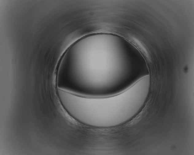 X0000094970900200711291135