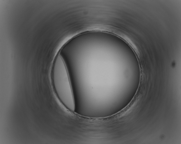 X0000094970901200711291135