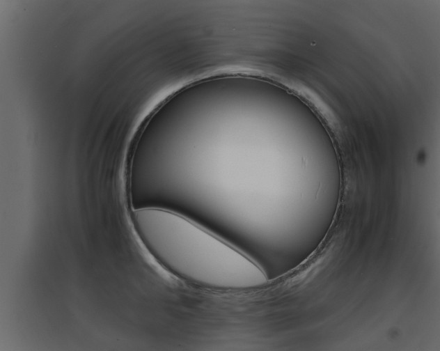 X0000094970902200711291135