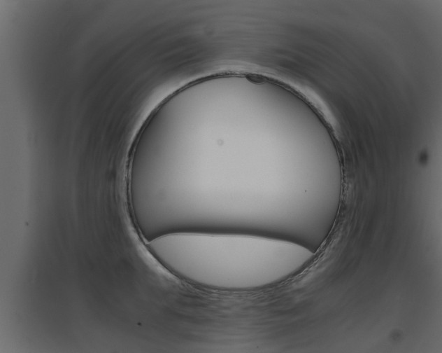 X0000094970903200711291135