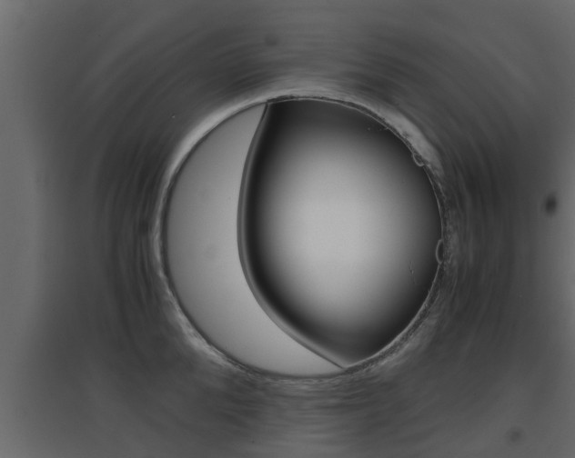 X0000094970904200711291135