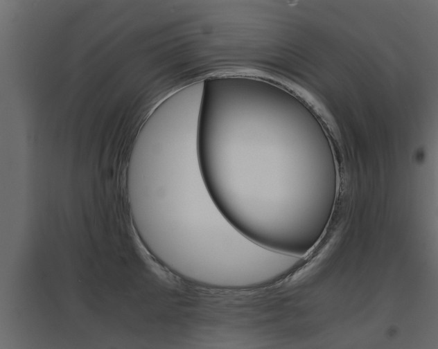 X0000094970905200711291135