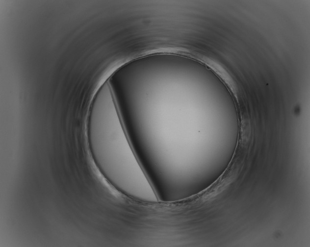 X0000094970906200711291135