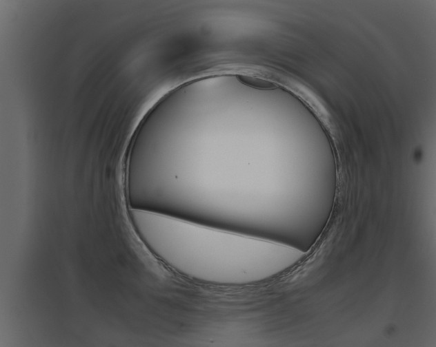 X0000094970907200711291135