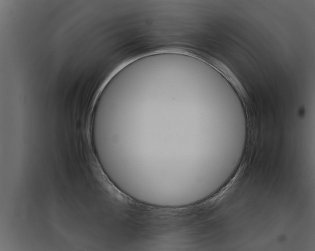 X0000094970908200711291135