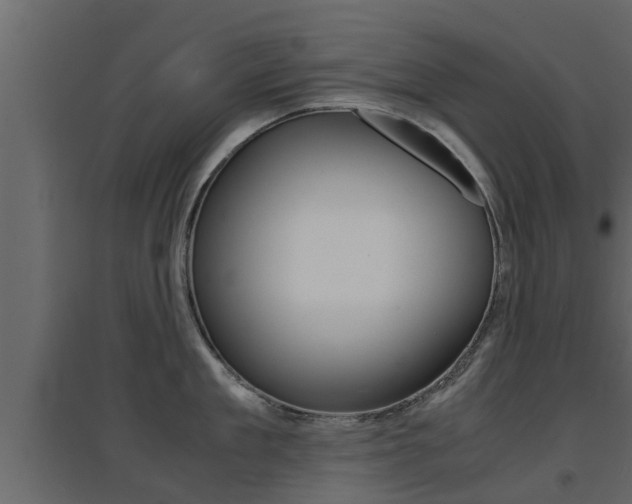 X0000094970909200711291135