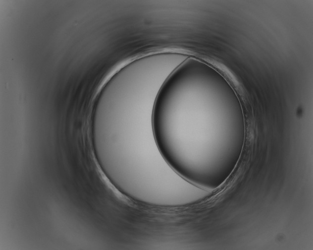 X0000094970910200711291135