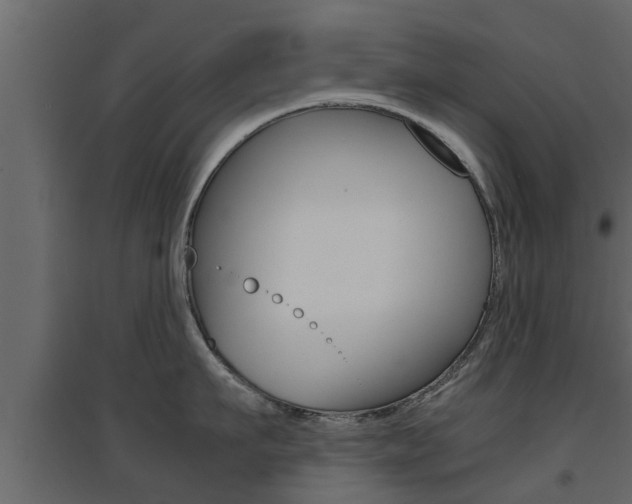 X0000094970911200711291135