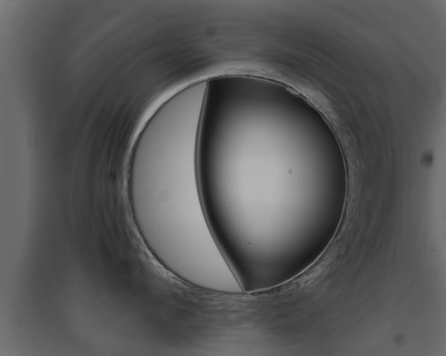 X0000094970912200711291135