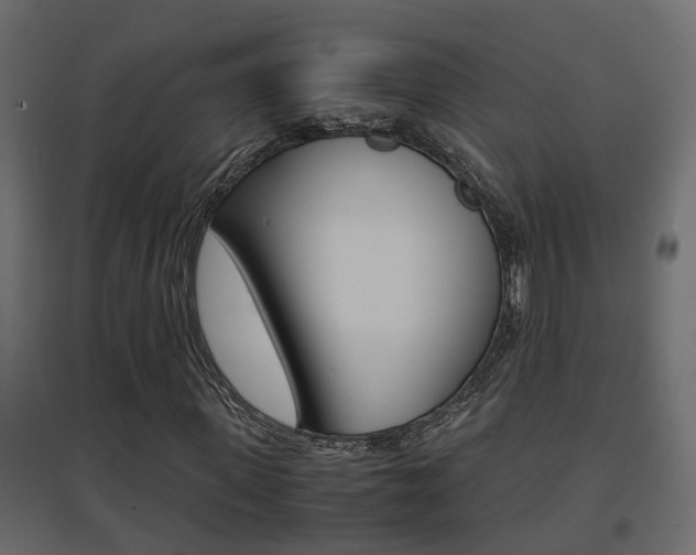 X0000094970915200711291134