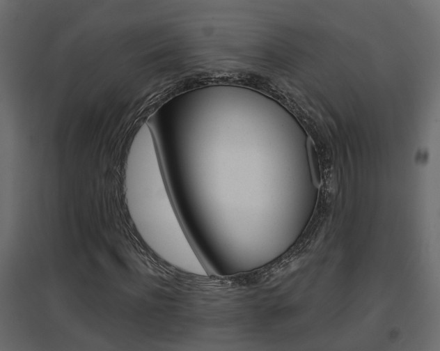 X0000094970916200711291134