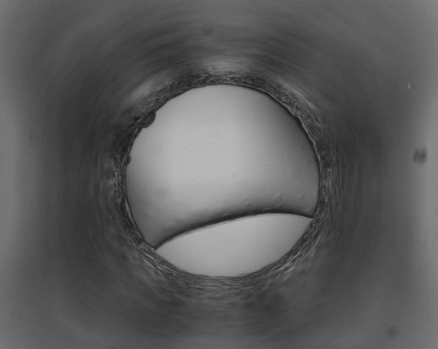 X0000094970917200711291134