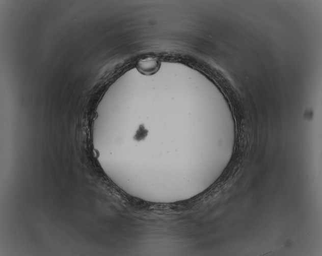 X0000094970918200711291134