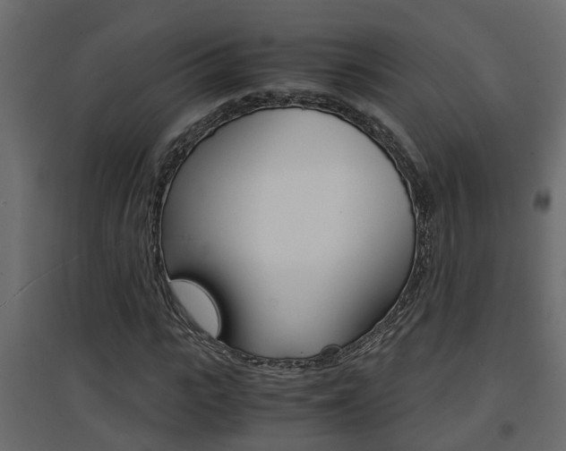 X0000094970919200711291134