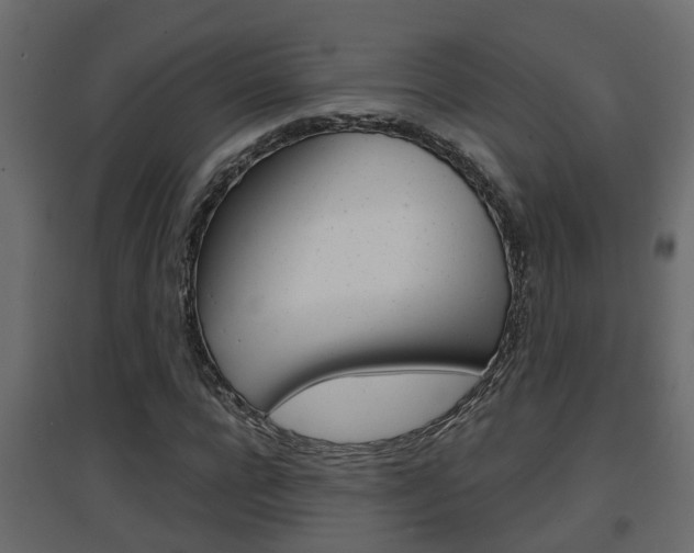 X0000094970920200711291134