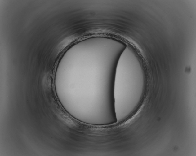X0000094970921200711291134