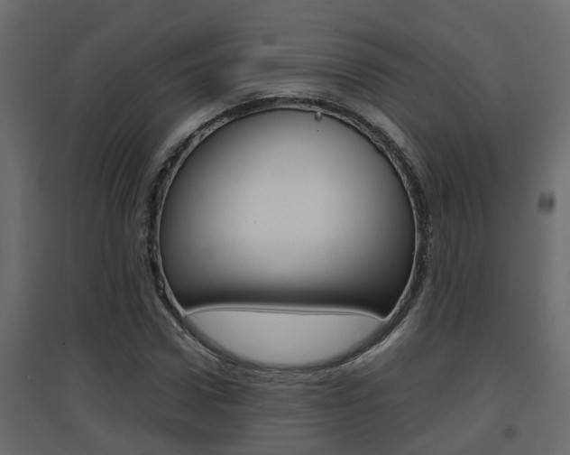 X0000094970922200711291134