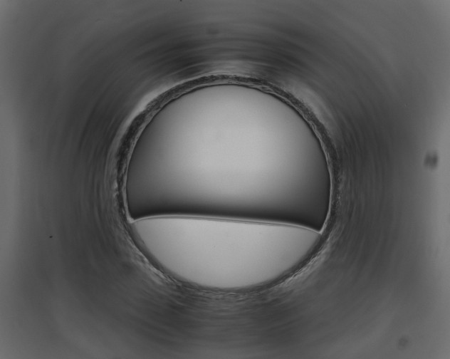 X0000094970923200711291134