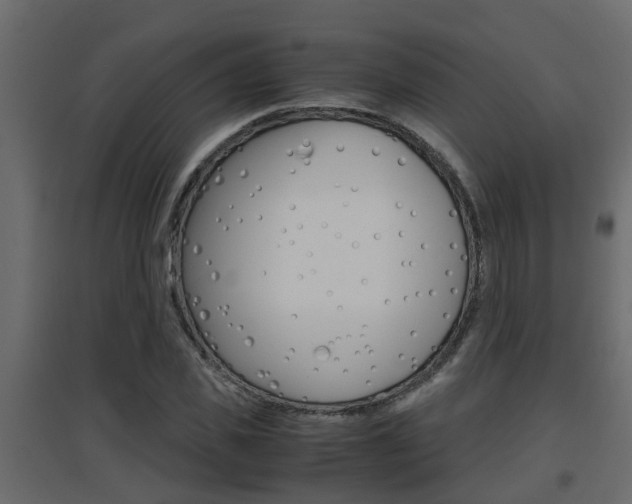 X0000094970925200711291134