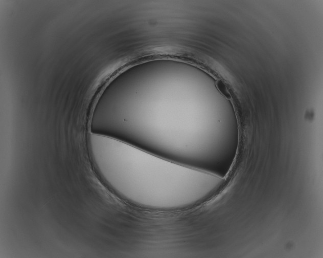 X0000094970930200711291134
