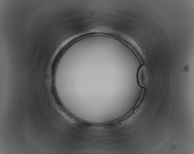 X0000094970931200711291134