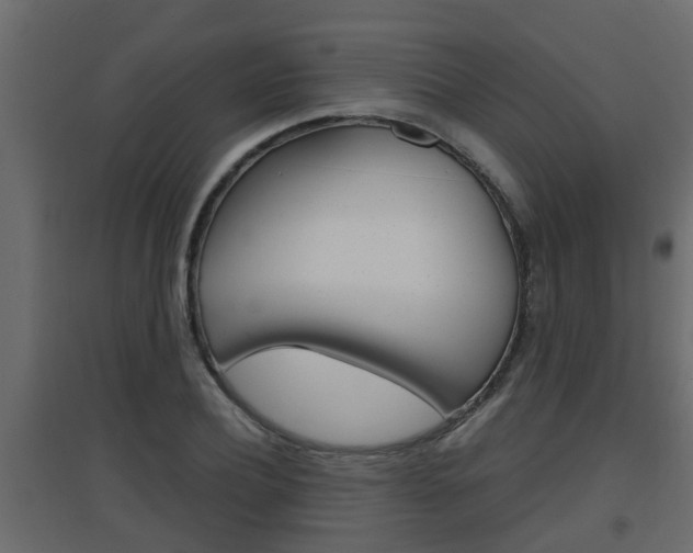 X0000094970932200711291134