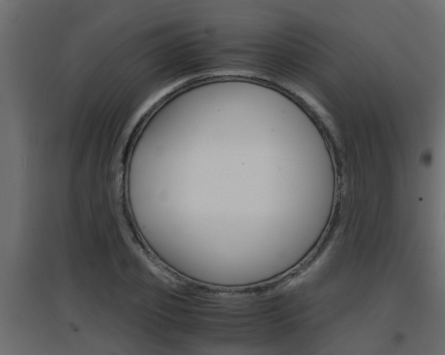 X0000094970933200711291134