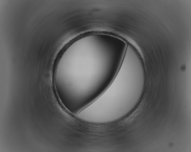 X0000094970935200711291134