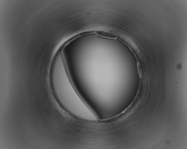 X0000094970936200711291134