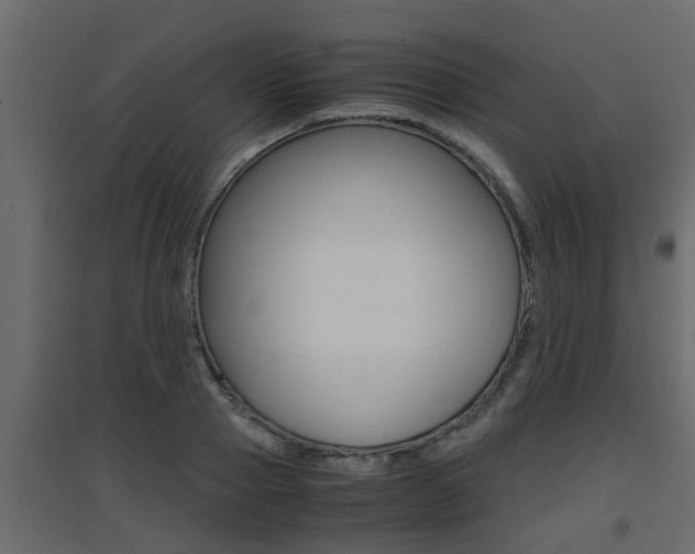 X0000094970937200711291134