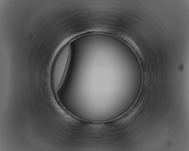 X0000094970939200711291134