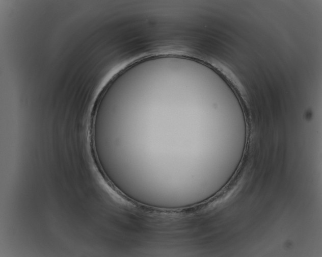 X0000094970941200711291134