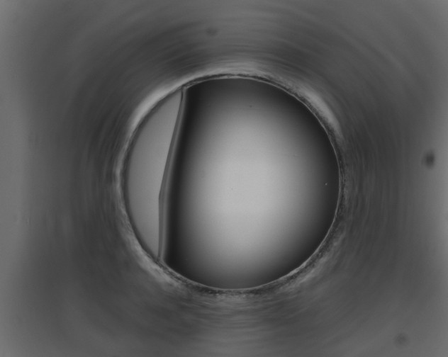 X0000094970944200711291134