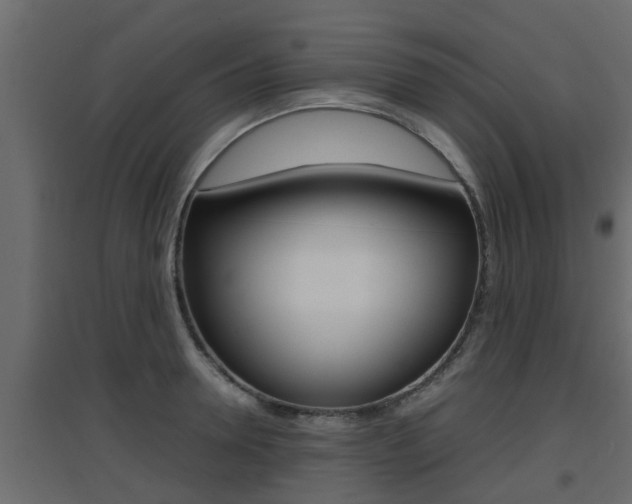 X0000094970946200711291134