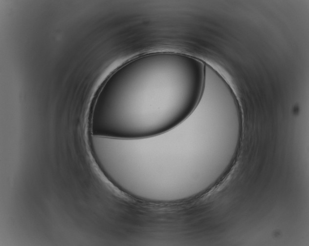 X0000094970949200711291134