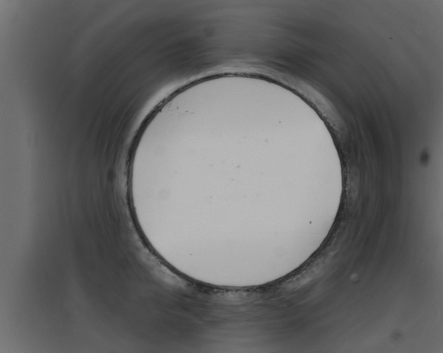 X0000094970950200711291134