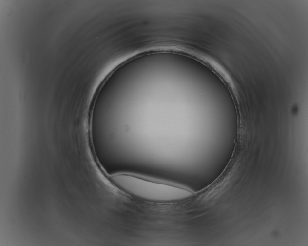 X0000094970951200711291134