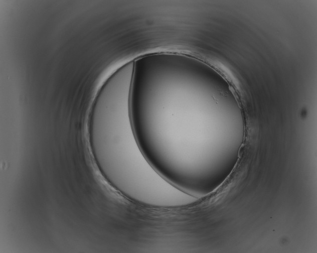 X0000094970952200711291134