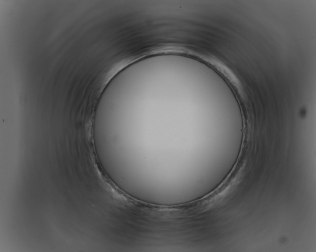 X0000094970953200711291135