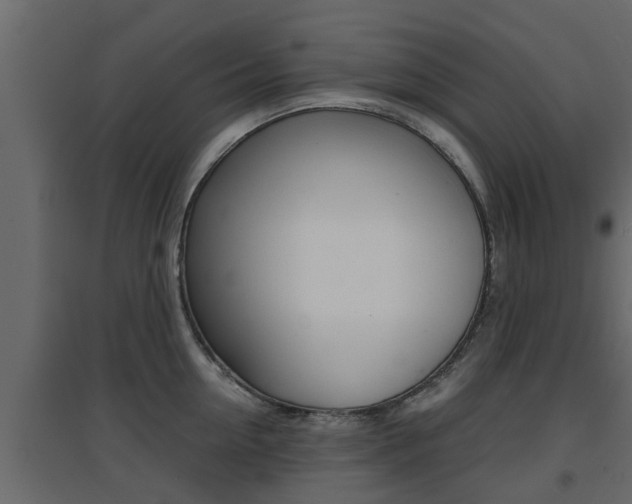 X0000094970954200711291135