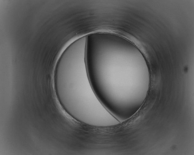 X0000094970955200711291135